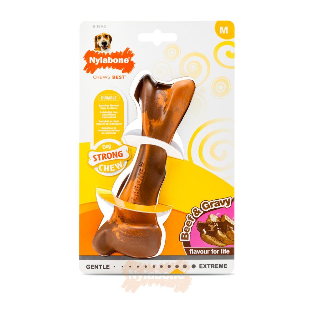 1 Nylabone Beef & Gravy Medium