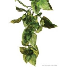 1 Exo Plast Amapallo Shrub