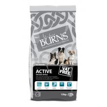 1 Burns Active