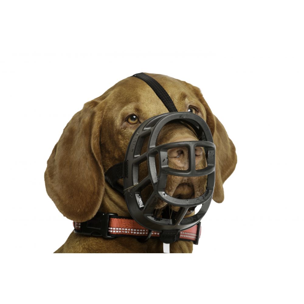 1 Baskerville Ultra Muzzle